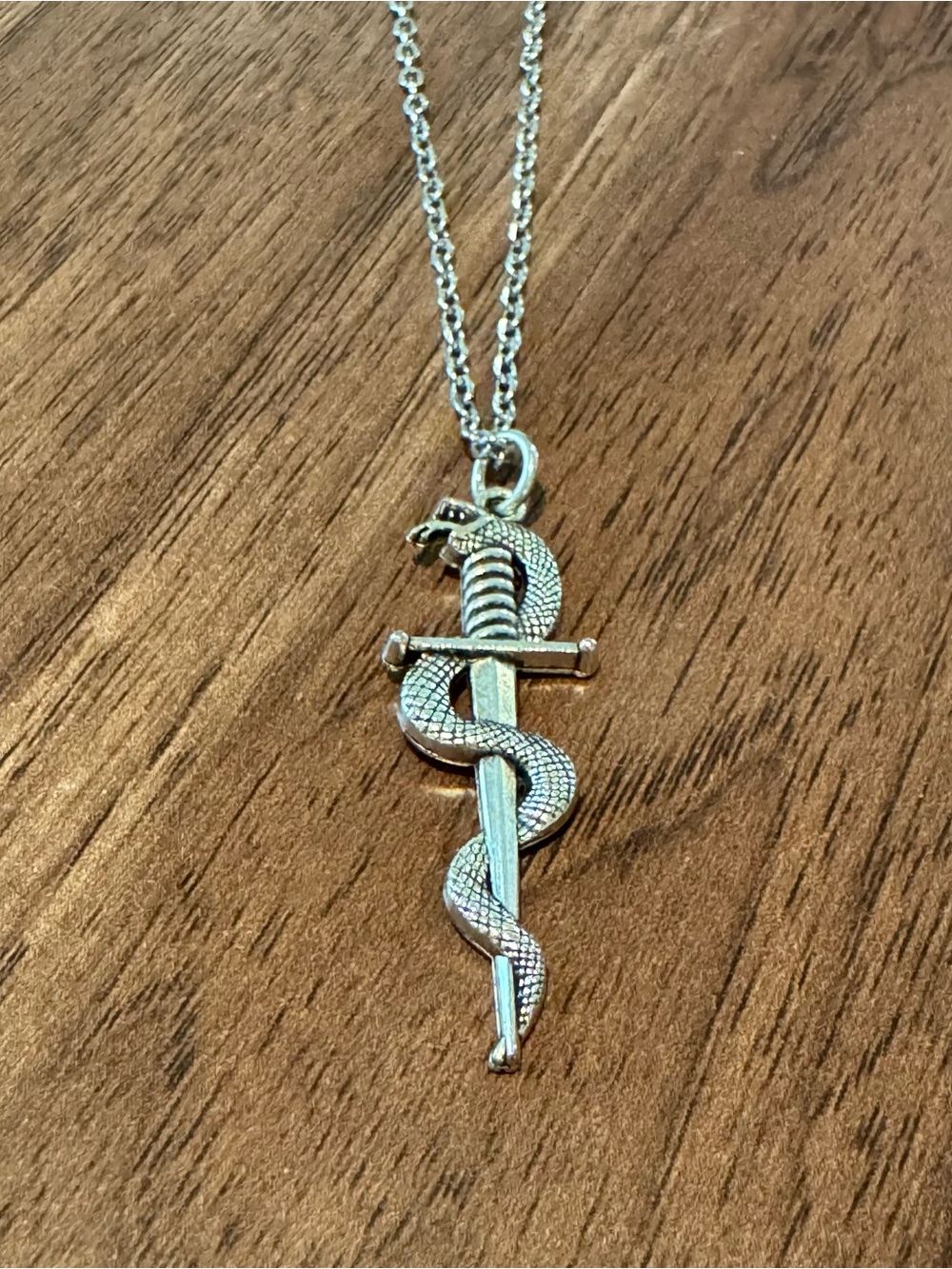 Silver Snake Wrapped Dagger Pendant Necklace - Silver